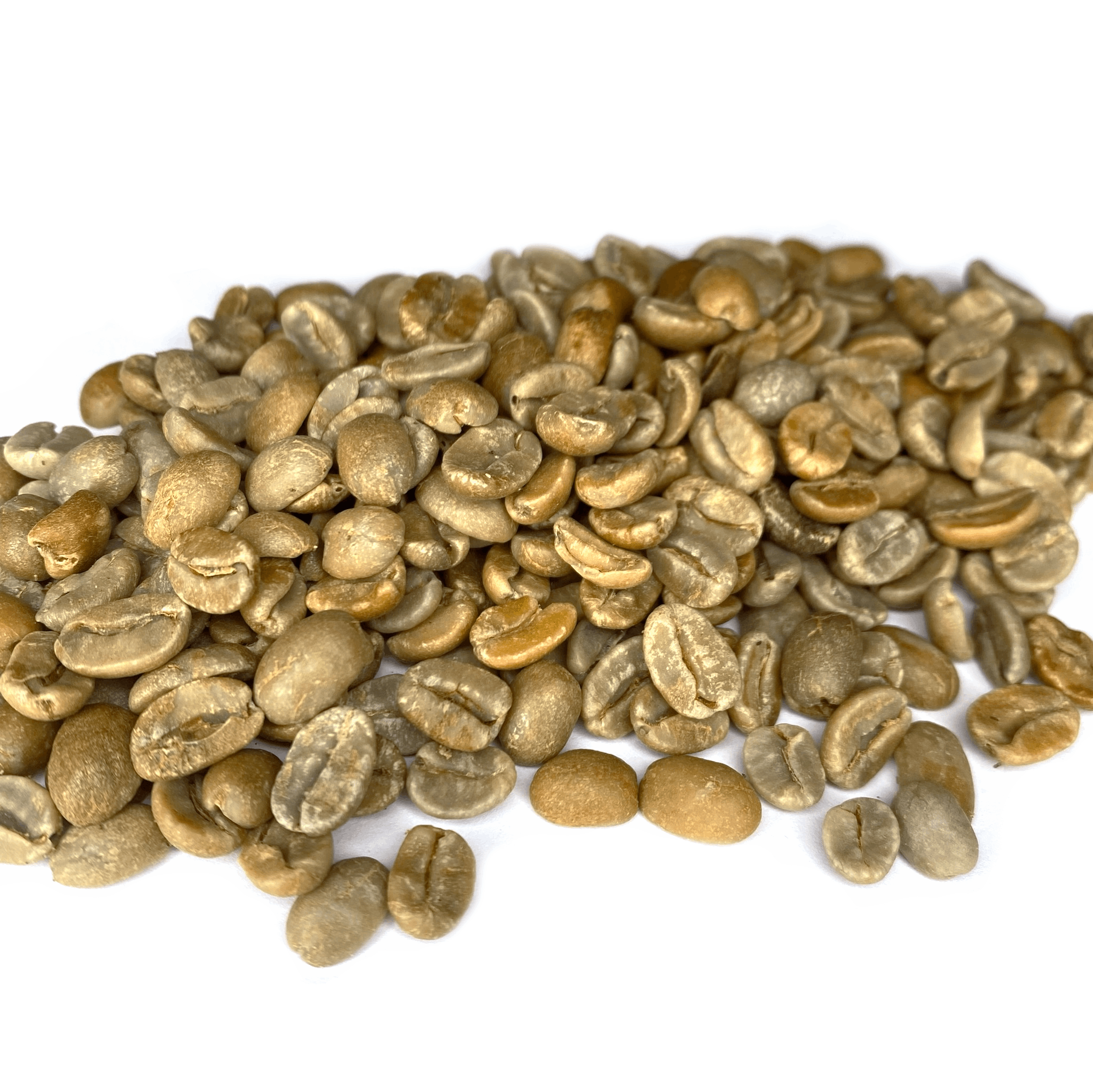Dominican Republic Ramirez Aged Natural