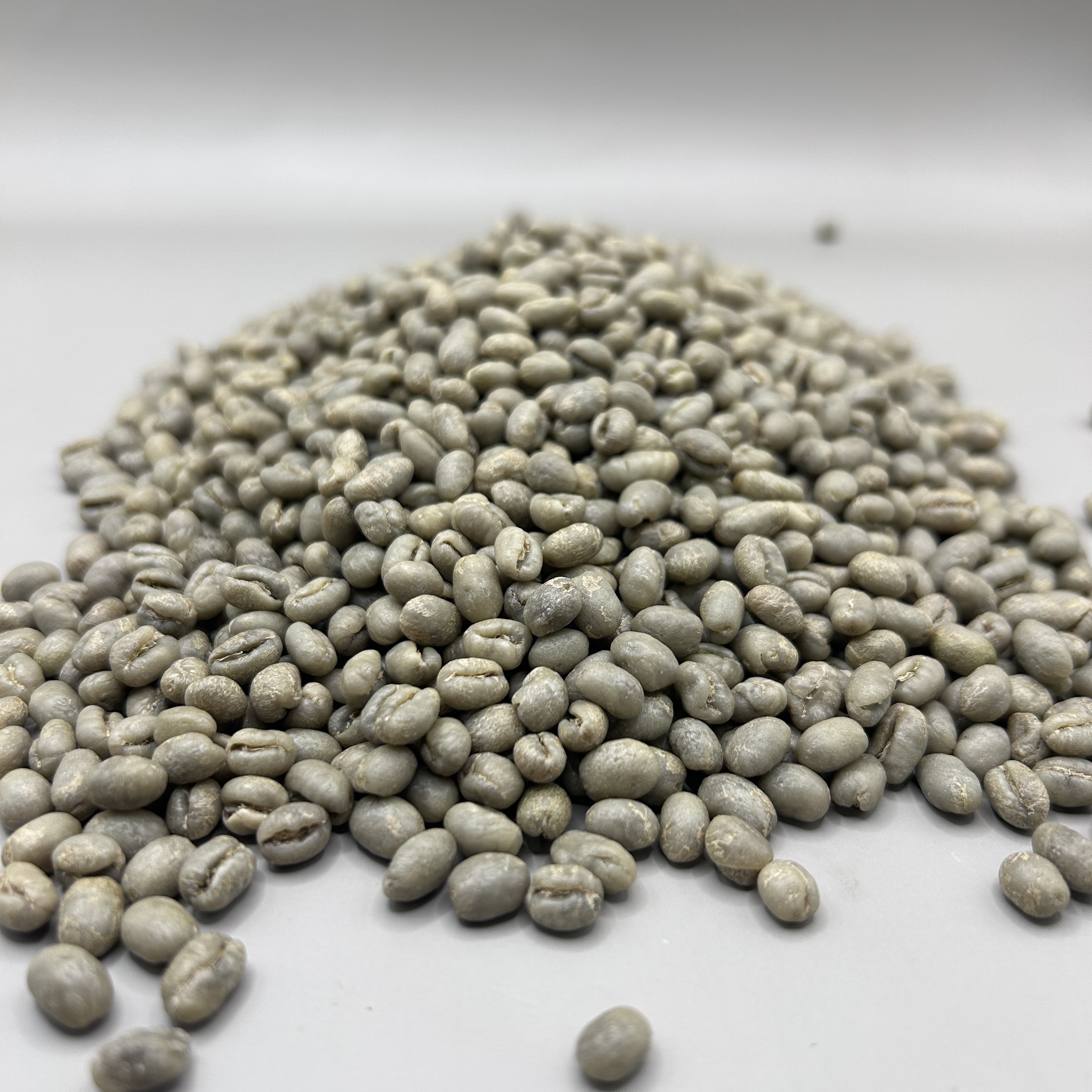 Costa Rica: La Gladiola Peaberry