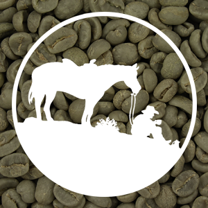 Yemen Mocca - Sanani YemMoc