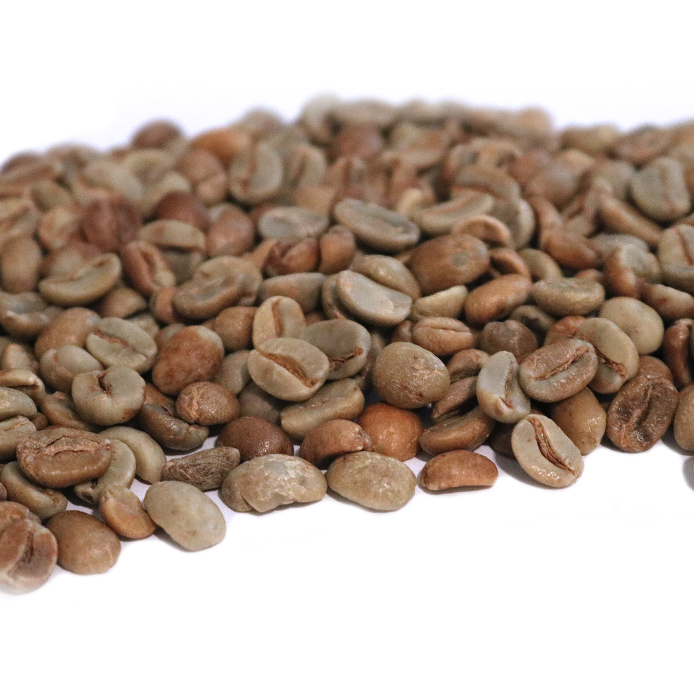 Honduras Organic 18 Rabbit Marcala Black Honey Process - Rancher by ...