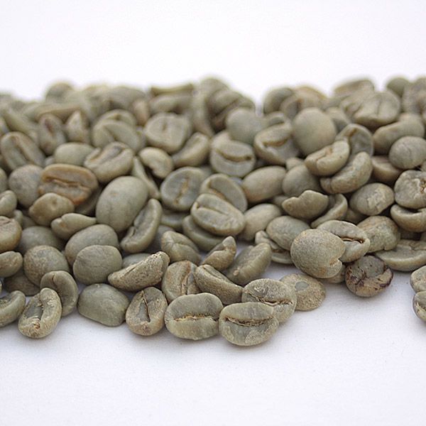 Indian Coffee Beans Rancher by Coffee Bean Corral