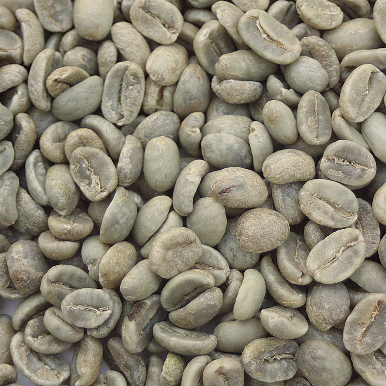 Guatemala Dulce Leonarda Estate HHT GUATHHTDULCE