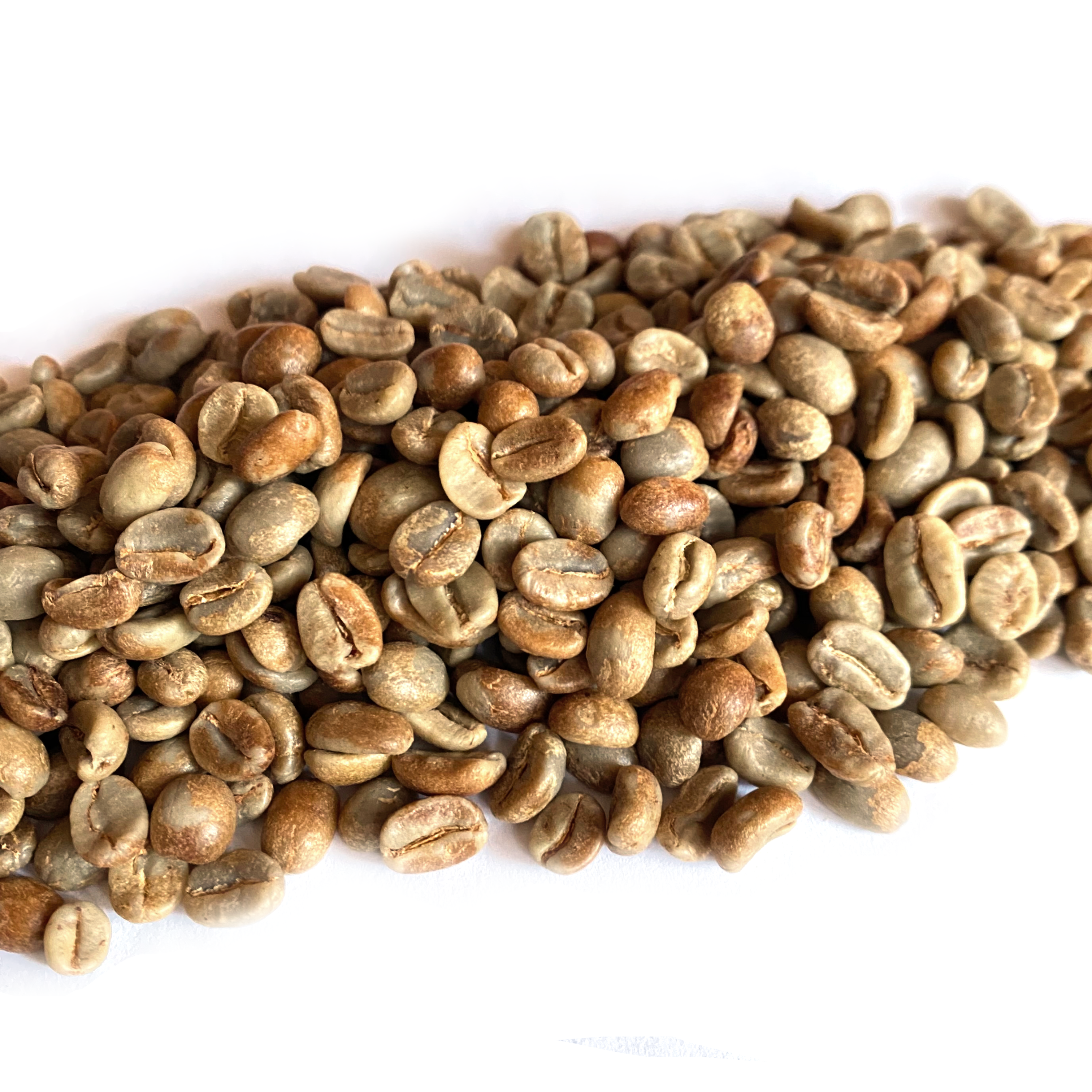 Honduras Organic 18 Rabbit Red Honey Process