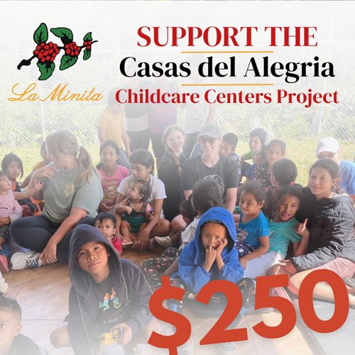 Casas de Alegria $100 ALEGRIA100