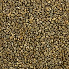 Sumatra: Raja Batak Peaberry, Lintong SUMRAJA