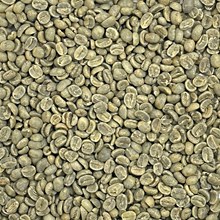 Guatemala Huehuetenango SHB GUATHHTSB