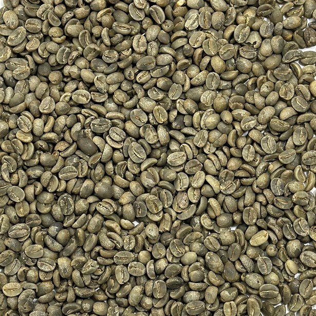 Haiti Organic Haitian Blue