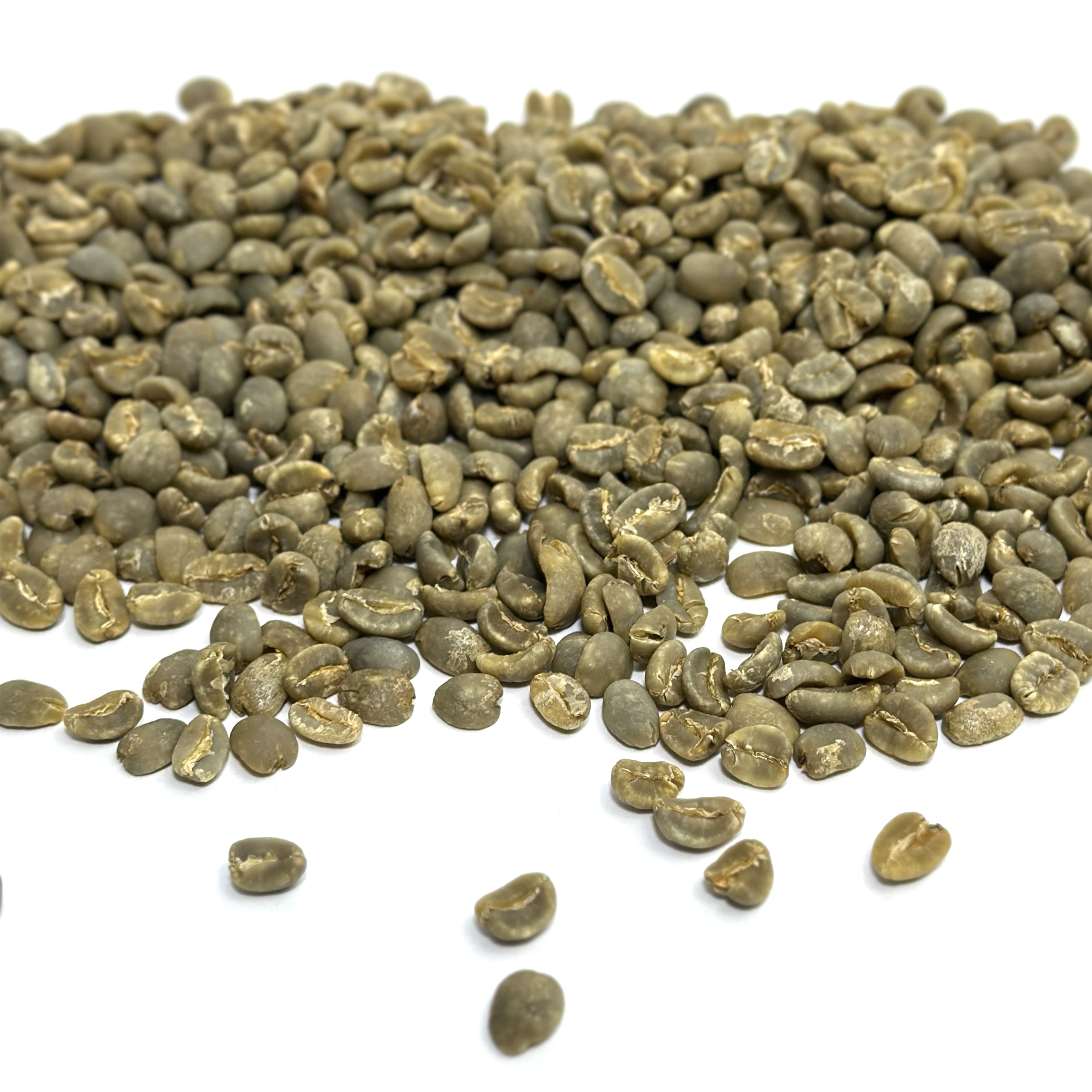 Sumatra Boru Batak Lintong coffee beans SUMBORUBATAK