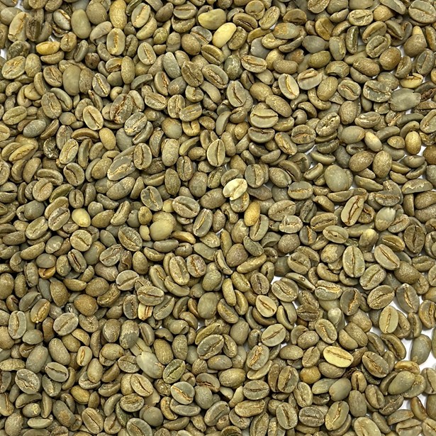 Ethiopia Longberry Harrar