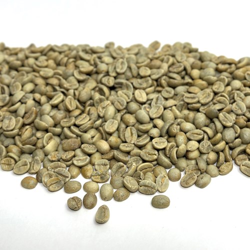 Indian Mysore 'Extra Bold' Nuggets IndMysore