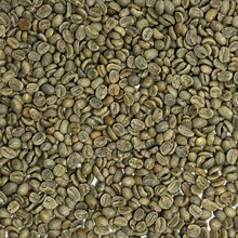 Mexico Rancho San Francisco