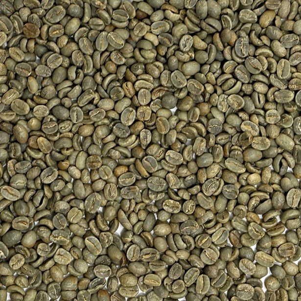 Mexico: Rancho San Francisco, Chiapas unroasted coffee beans