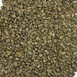 Sumatra Mutu Batak Lintong coffee beans SUMMUTUBATAK