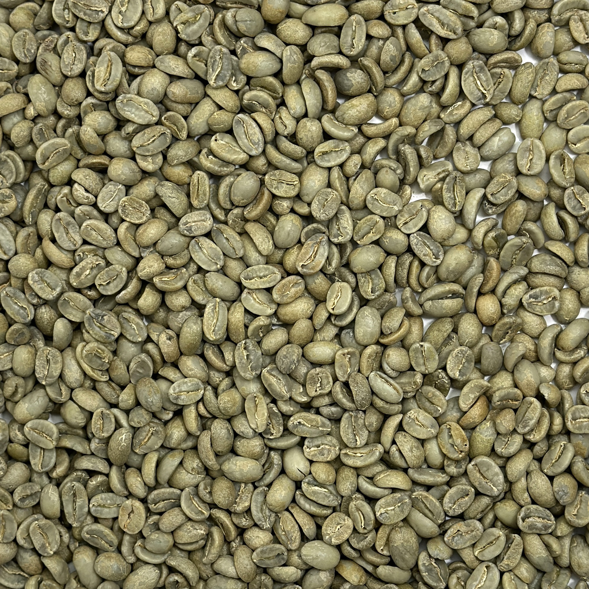 Guatemala: Finca Santa Margarita, Acatenango GUATMARGARITA