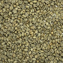 Guatemala Finca Santa Margarita