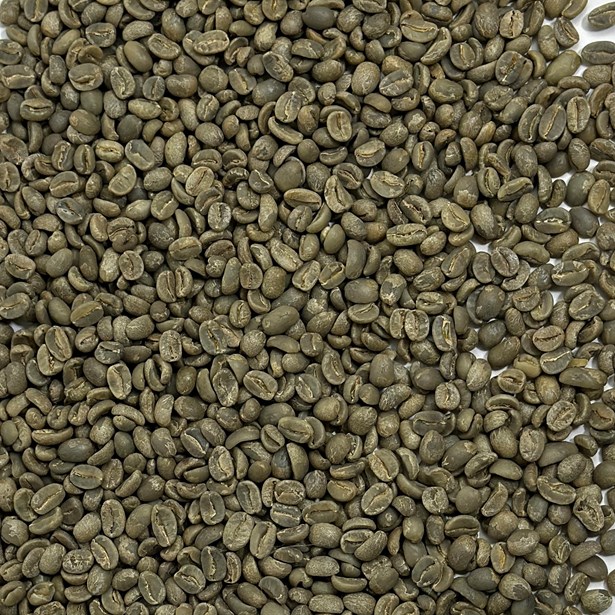 Haiti: Marre Blanc coffee beans 
