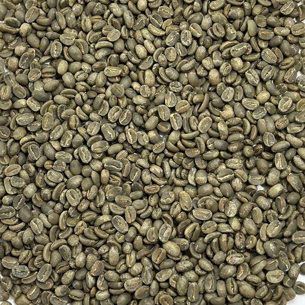 Haiti Savanne Zombie