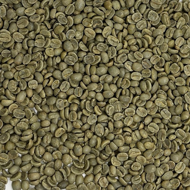 Costa Rica: El Conquistador coffee beans
