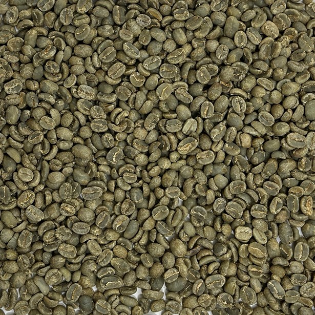 Guatemala Finca Vallure