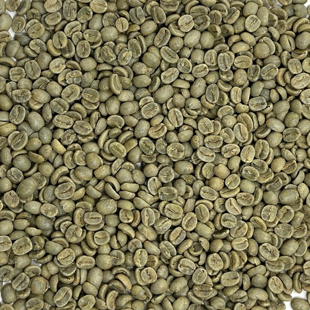 Costa Rica La Minita Estate Coffee Beans