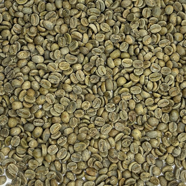 Close up picture of Finca La Esperanza Santa Ana beans
