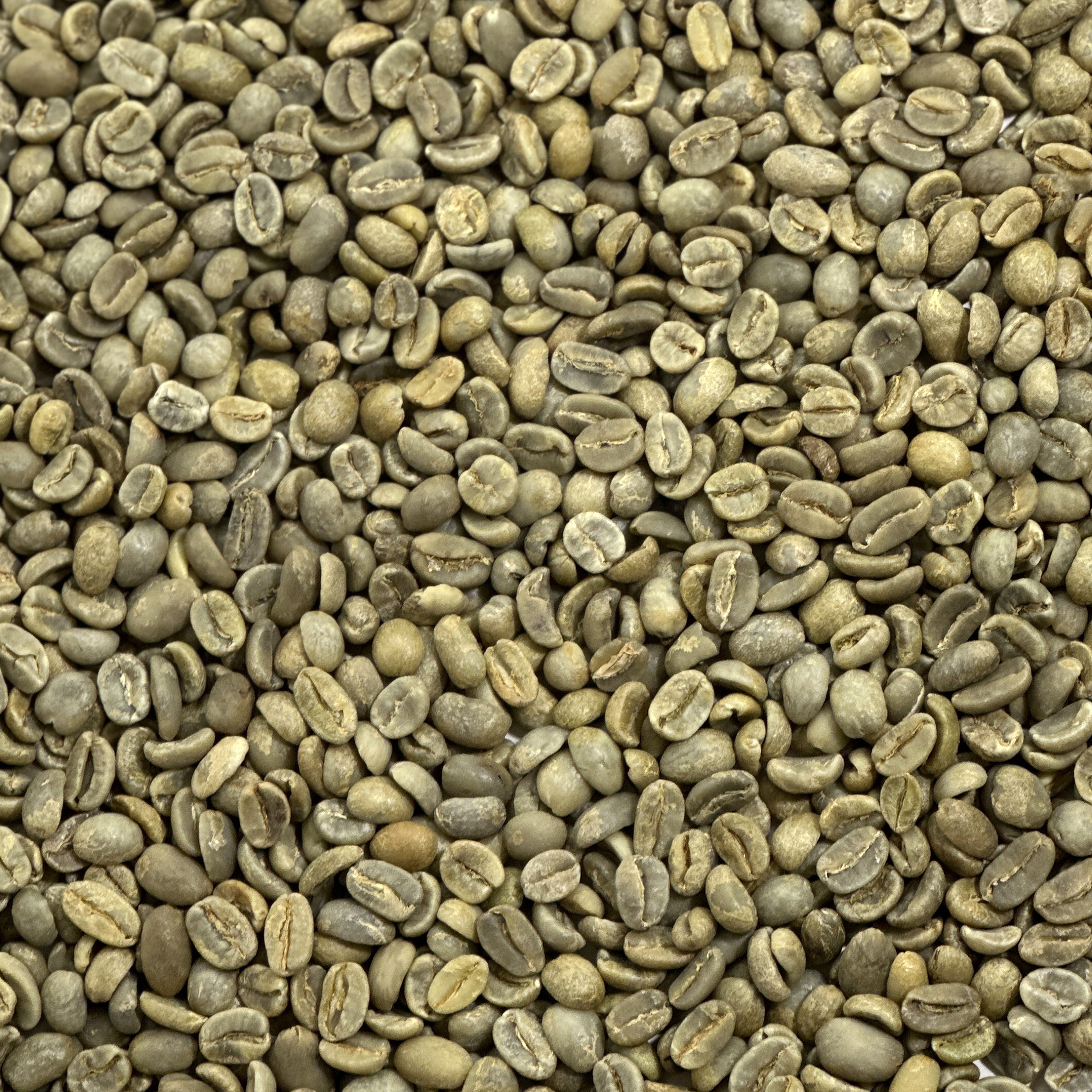 CBC Blend: Ferdelance FERDELANCE