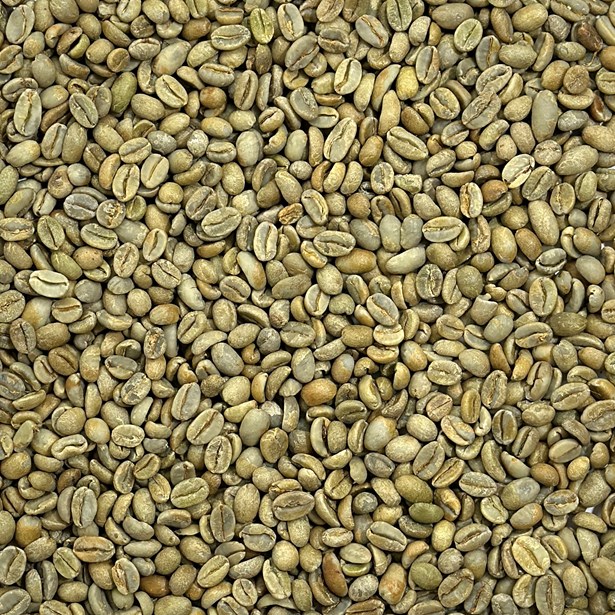 CBC Blend: Red Sea