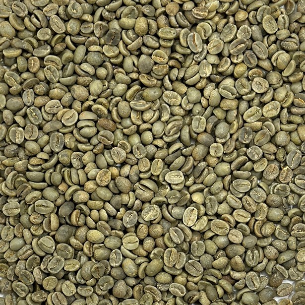 CBC Blend: Four Horseman