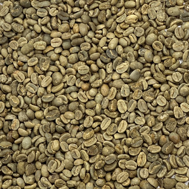 Organic Big Black Coffee Blend