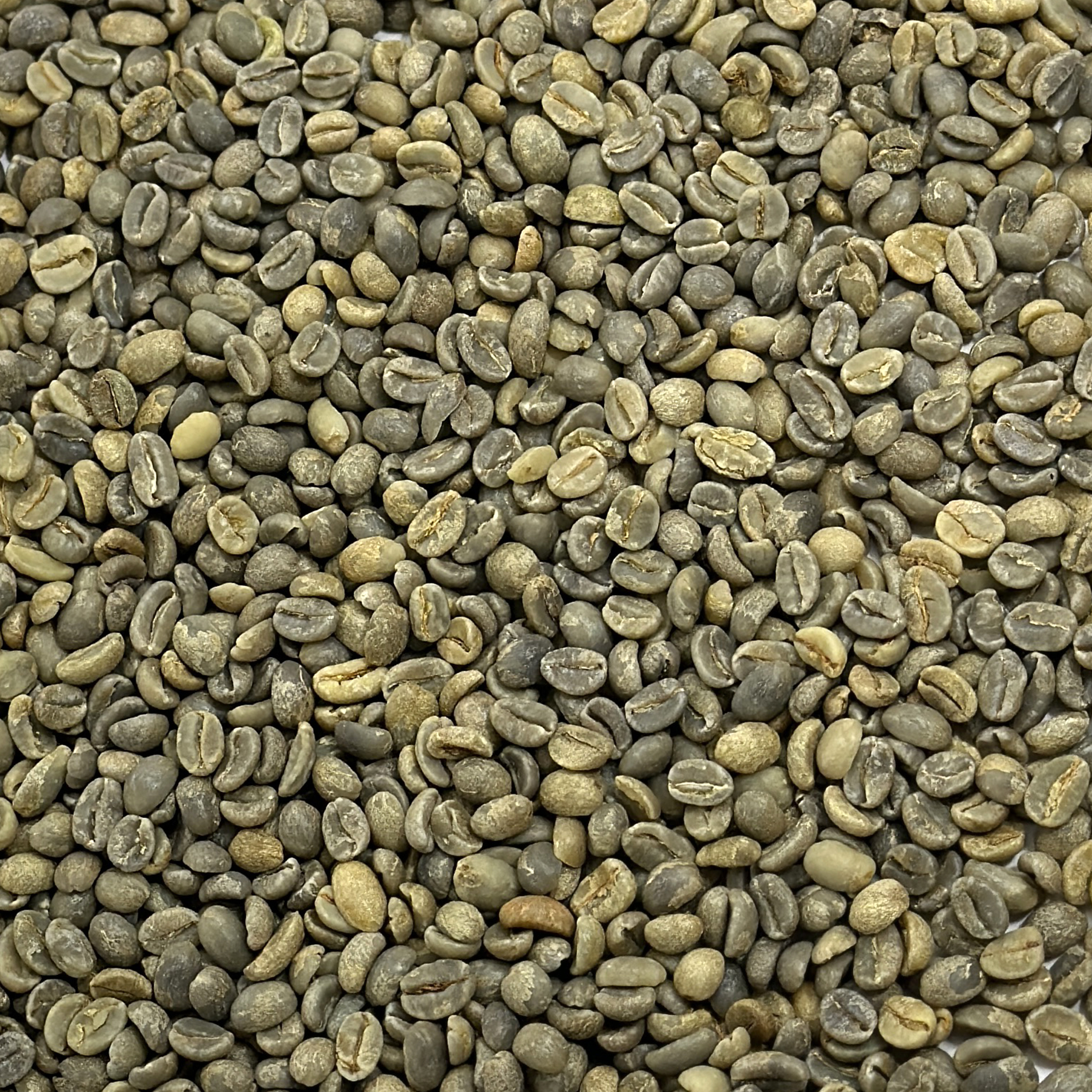 CBC Blend: True Mocca Java MOCCAJAVA