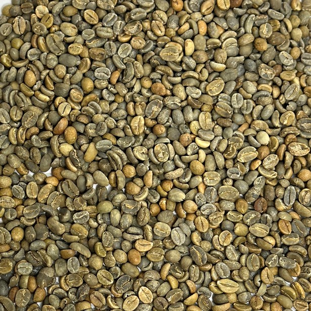 CBC Blend: High Octane Robusta Blend