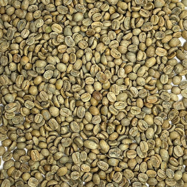  Organic Jinotega Nicaragua Finca La Isabelia 
