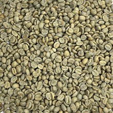 Bolivian Organic - Colonial Caranavi FT BOLOCOL