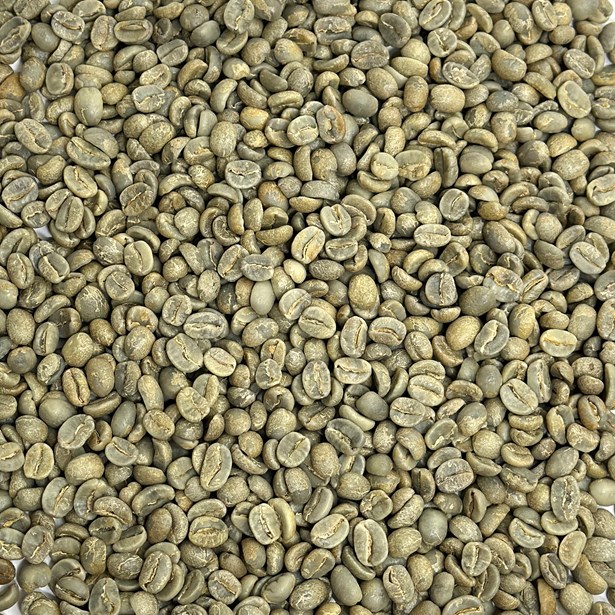 Organic Caranavi FTO