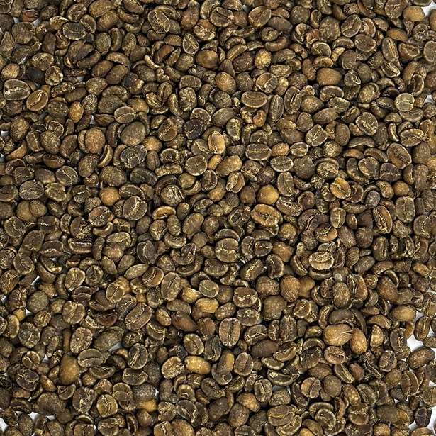 Decaf HHT Royal Select Coffee