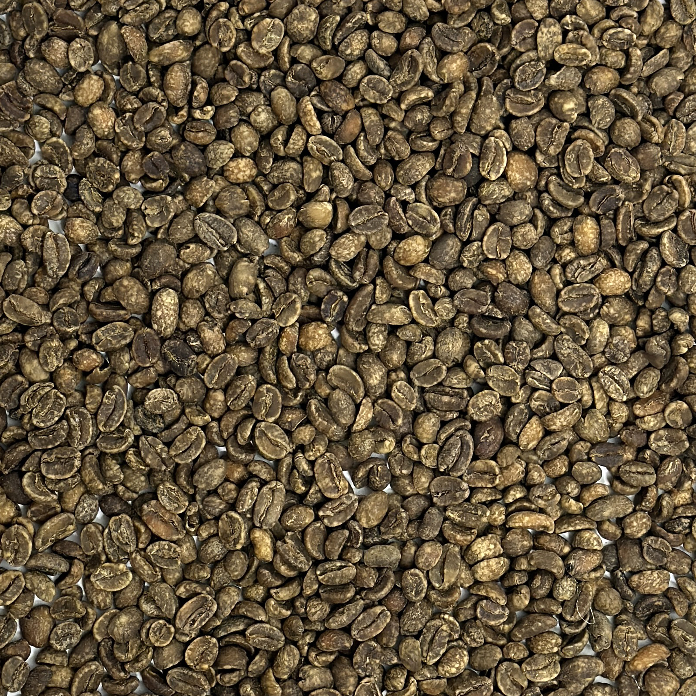 Decaf Sidamo Natural