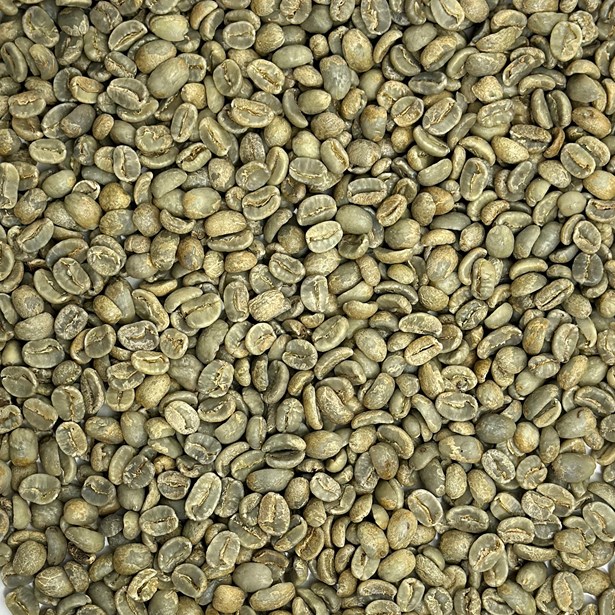 Honduras Kingdom Growers SHG