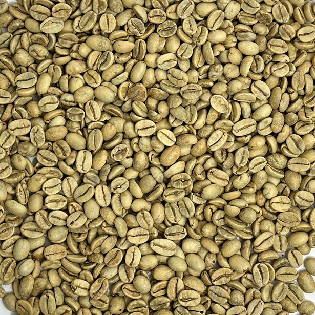 India Monsooned Malabar AA Karnataka