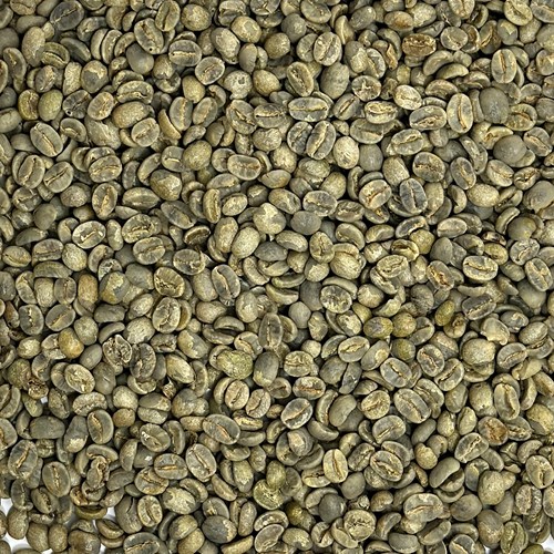 Brazil Bela Vista Yellow Bourbon Washed