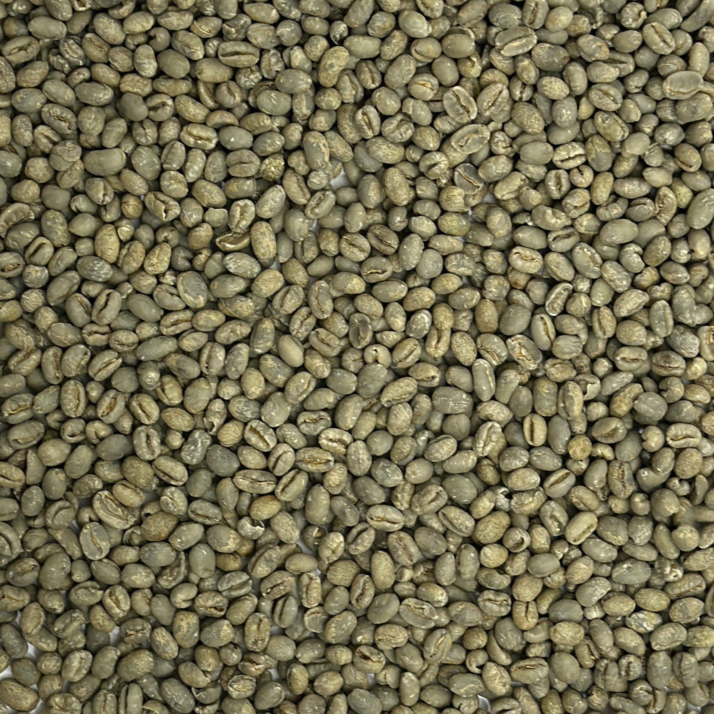 Brazil: Pearl Bourbon Peaberry, Daterra Estate DATPEARLBBN