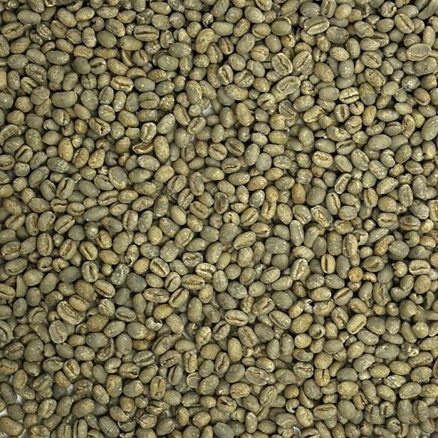 Brazil Pearl Bourbon Peaberry