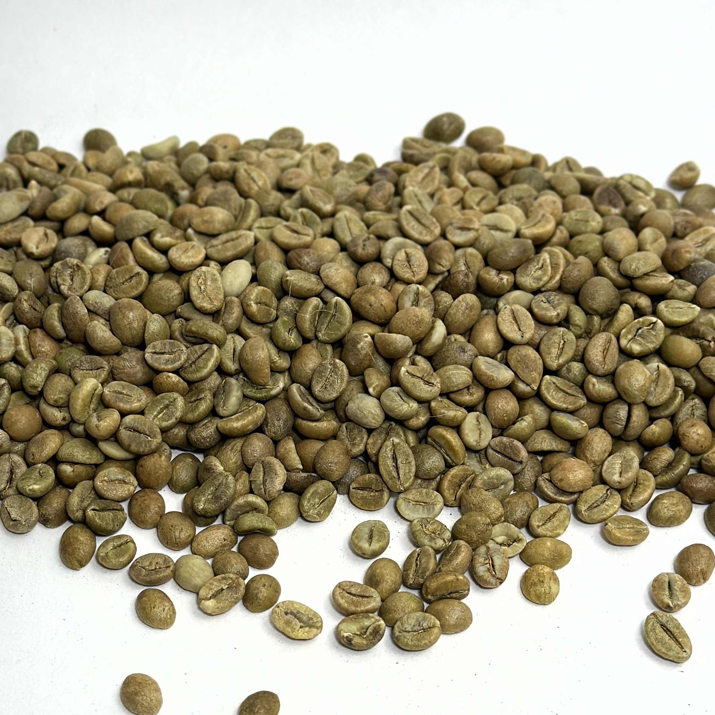 India Cherry Robusta