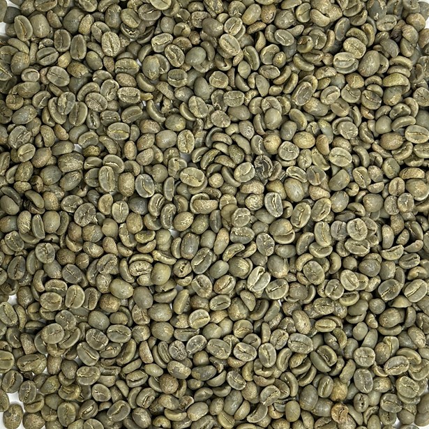 Finca La Santa SHB EP, Boquete beans