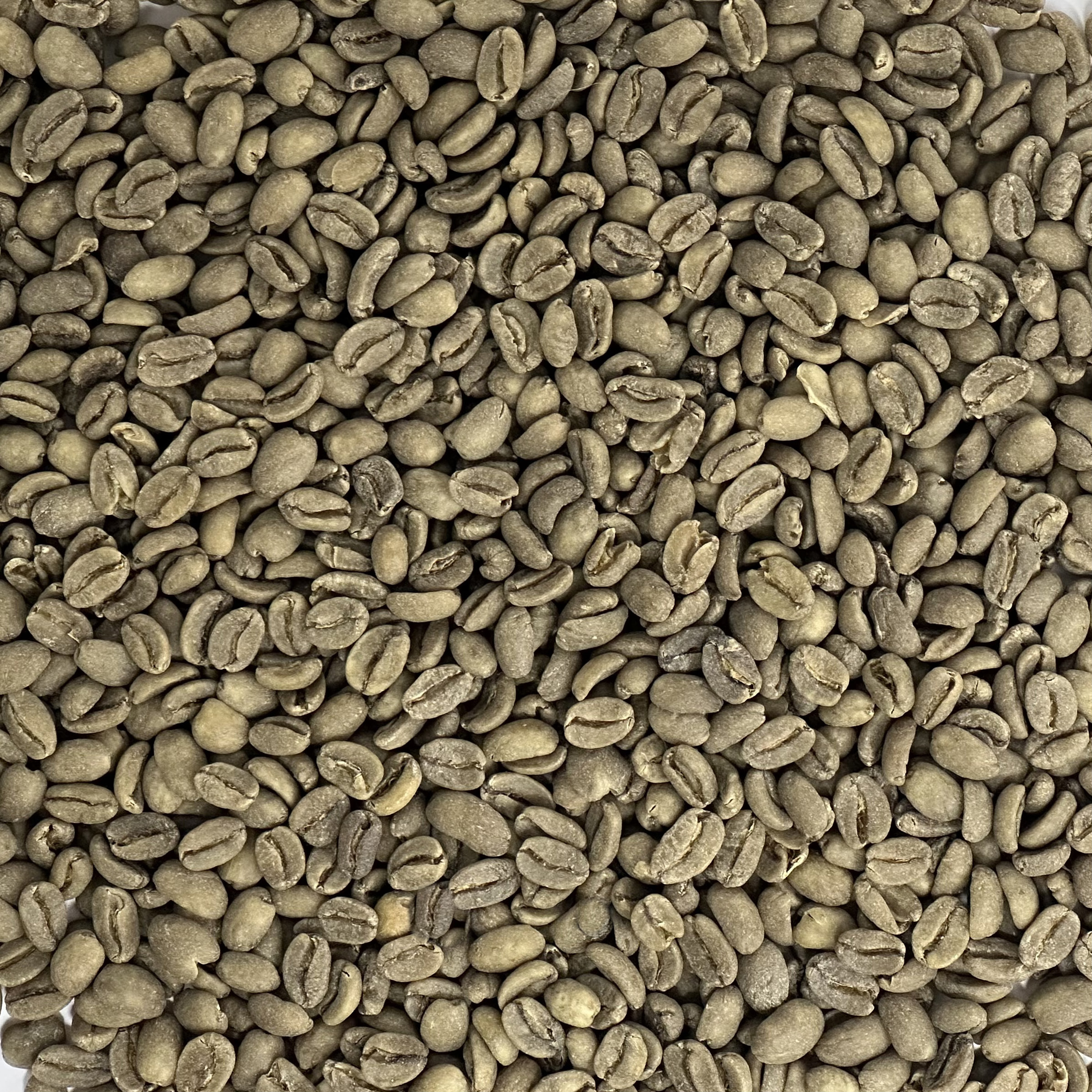 Papua New Guinea: Organic Decaf Purosa A/X, Eastern Highlands PNGDECAF