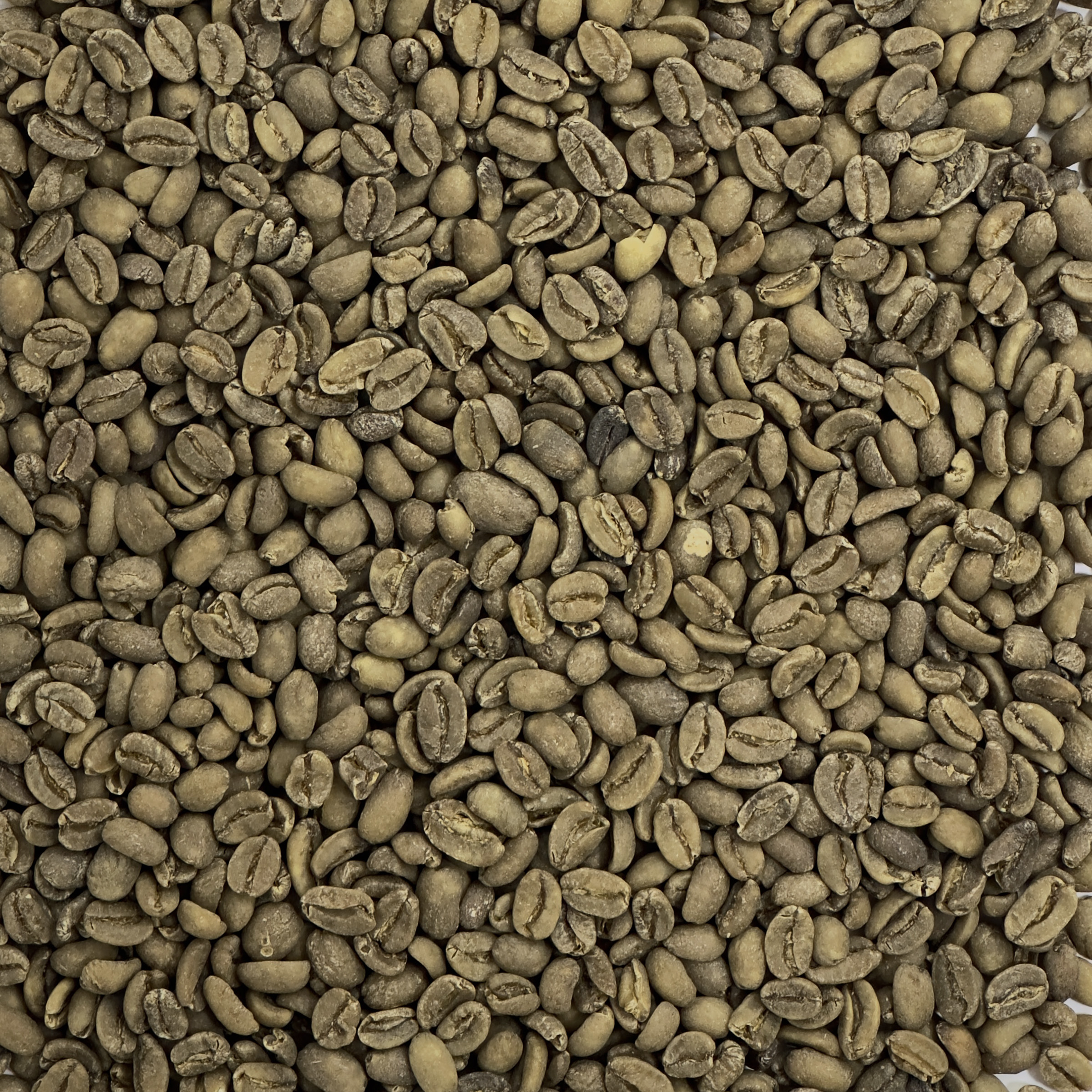 Indonesia: Organic Decaf Bali Hai, Indonesia Blend BALIHAISWP