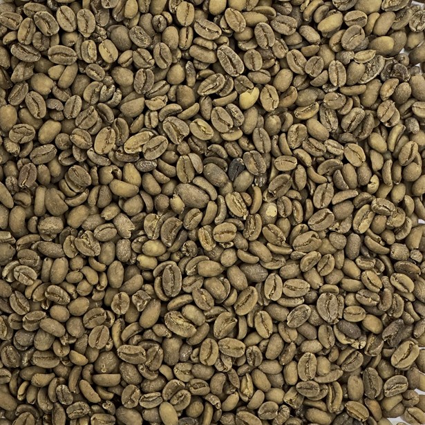 Organic Decaf Bali Hai