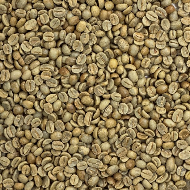 Organic 18 Rabbit Yellow Coffee