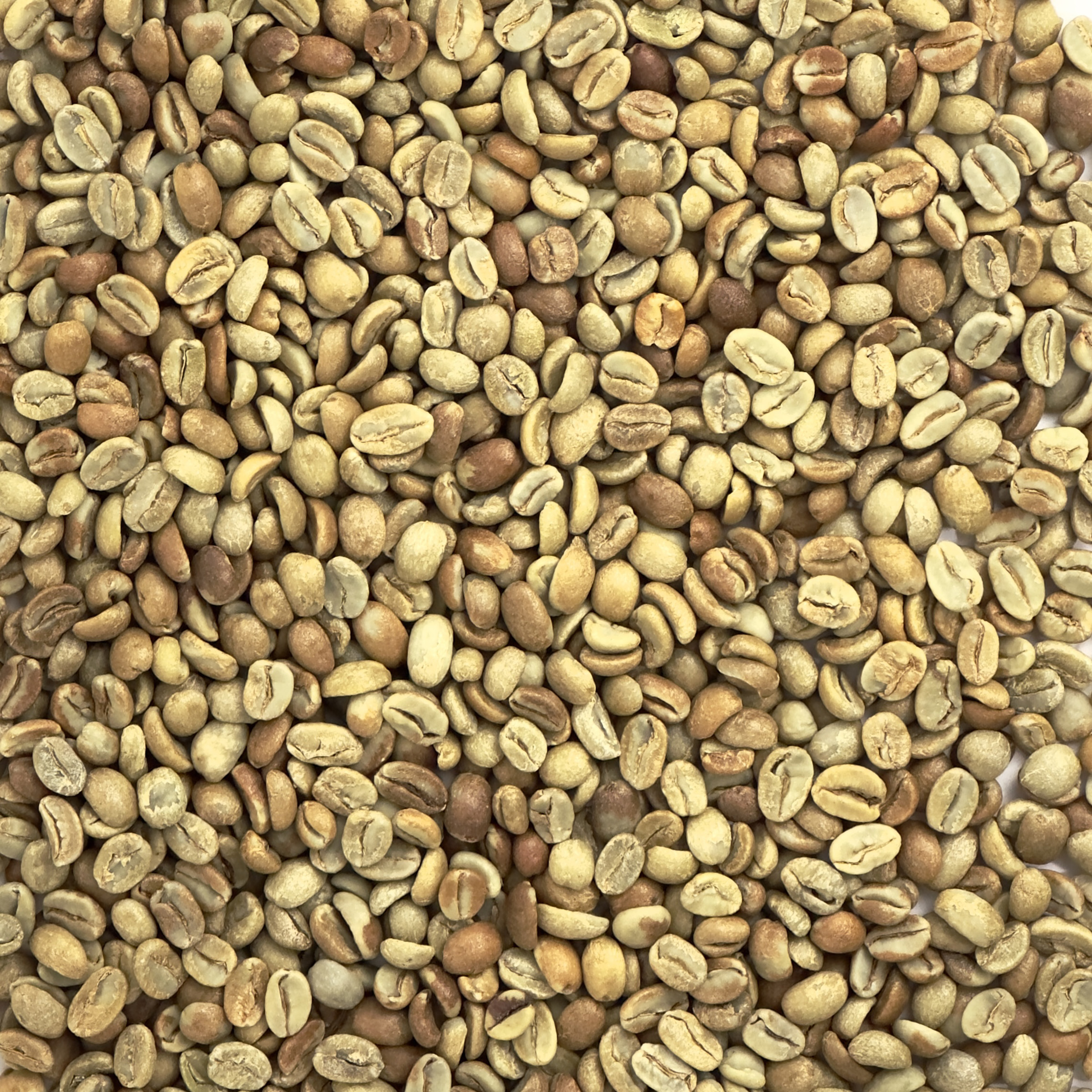 Honduras Organic Marcala Natural HON18ORGNAT