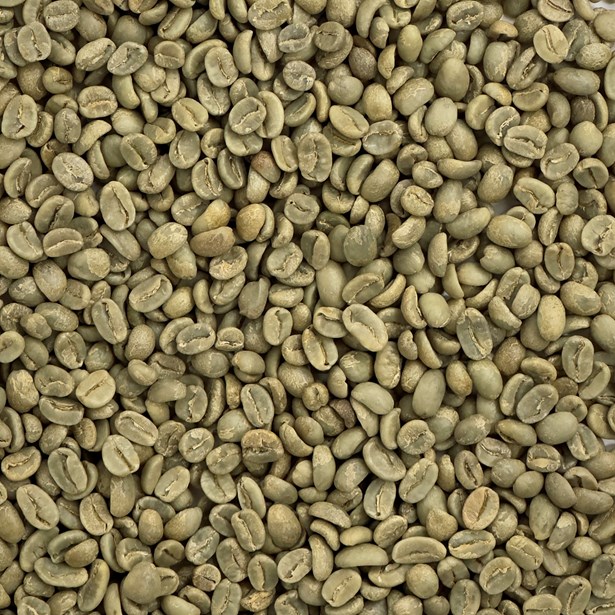 Peru Organic Finca La Esperanza beans