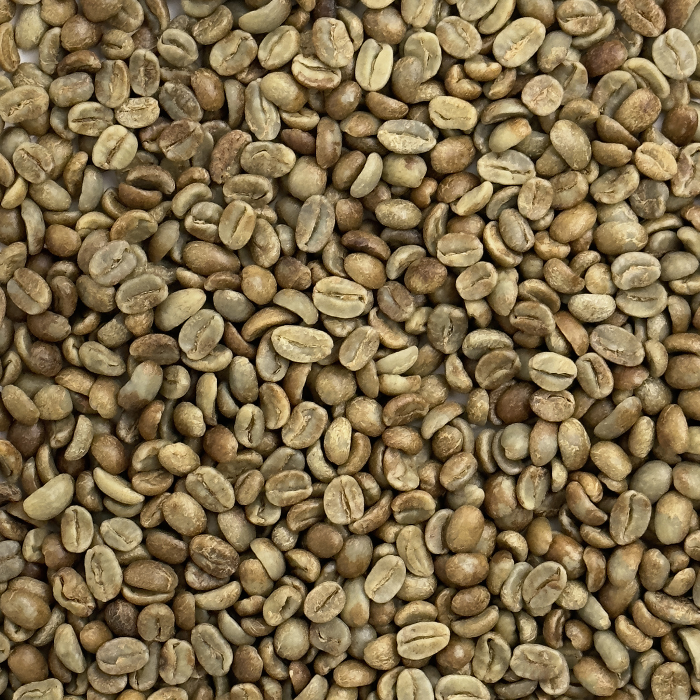 Honduras Organic Marcala Black Honey